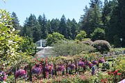 72 - Butchard Gardens  - IMG_1670
